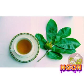 Trà mãng cầu nhà làm