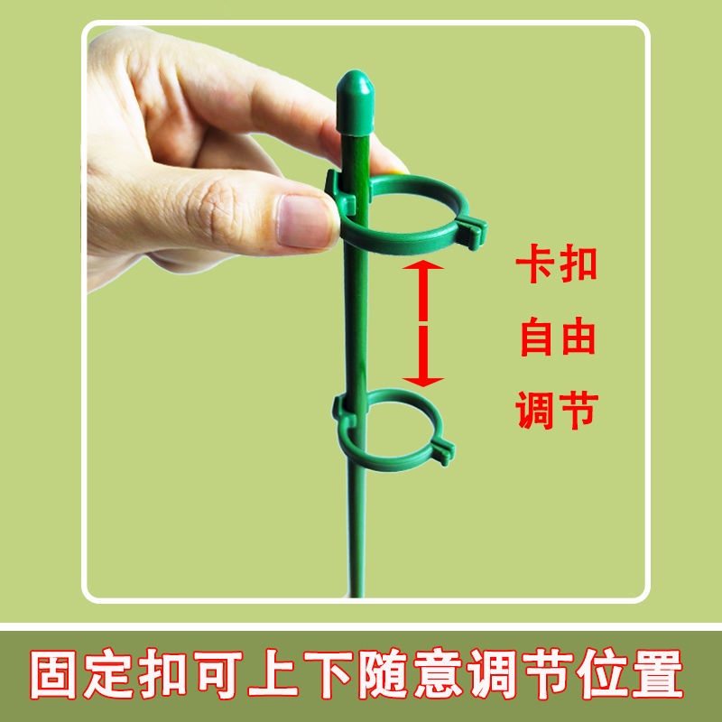 Giá Đỡ Hỗ Trợ Cây Leo Chống Đứt Tiện Dụng Cho Sân Vườn / Ngoài Trời