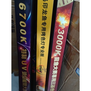 Đèn Mayin T5 Tanning cá rồng cho bối, huyết long