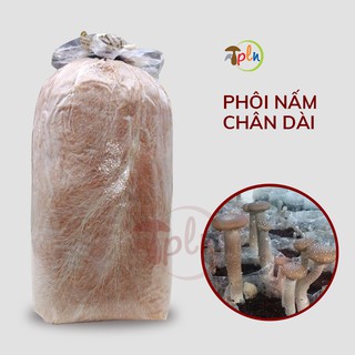 Combo 10 Bịch Phôi Nấm Chân Dài🍀PLN🍀Giá Tận Gốc