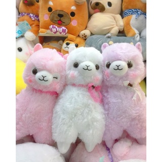  Gấu bông lạc đà Alpaca xinh xắn 35cm 🦙🦙🦙 ảnh thật  