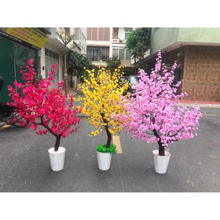 Chậu cây đào hoàn thiện y hình kèm chậu