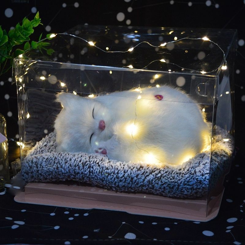 Quà tặng sinh nhật hình chú mèo dễ thương xinh xắn