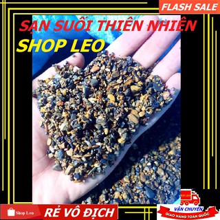Sạn suối thiên nhiên trải nền bể cá - Bể BioTop - Sỏi suối trải nền thuỷ sinh - Hồ cá cảnh - bể cá