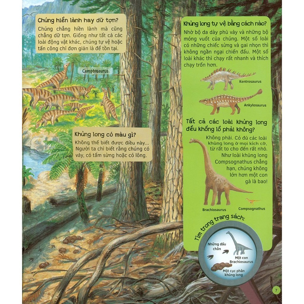 SÁCH - Hỏi - Đáp về Thế giới Khủng long