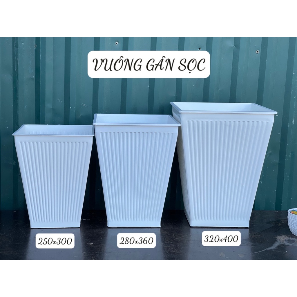 Chậu nhựa vuông cao gân sọc hàng đẹp Siêu dày- 3 size