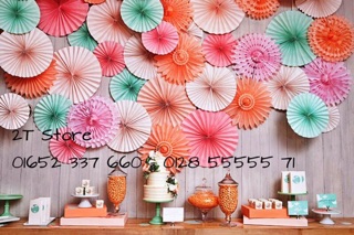 Set hoa rẻ quạt giấy trang trí