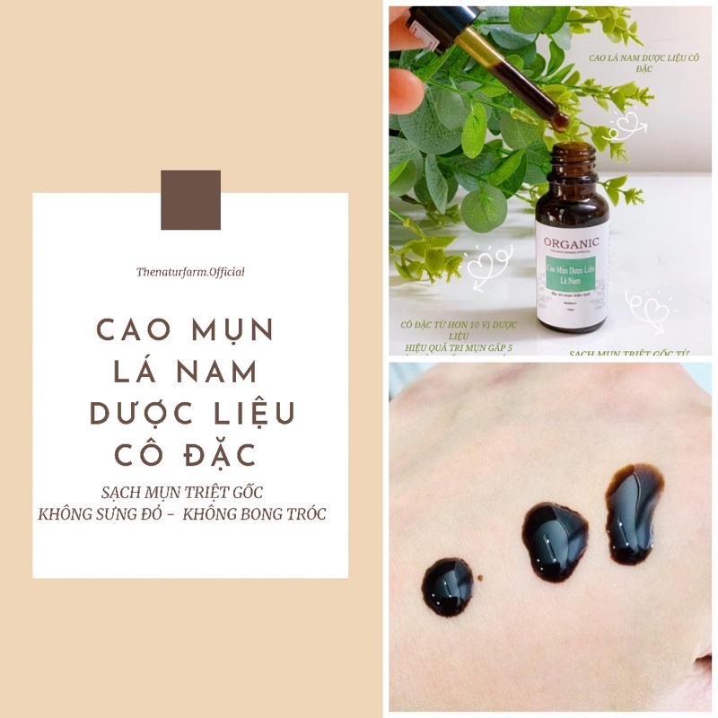 Cao lá nam dược liệu 5ML ( Cao mụn cô đặc ) giải quyết mụn từ nhẹ đến nặng