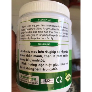 siêu lân xanh