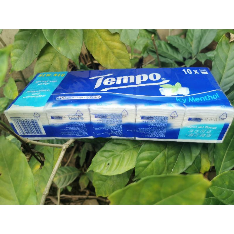 Khăn giấy Tempo 10 gói bạc hà bỏ túi