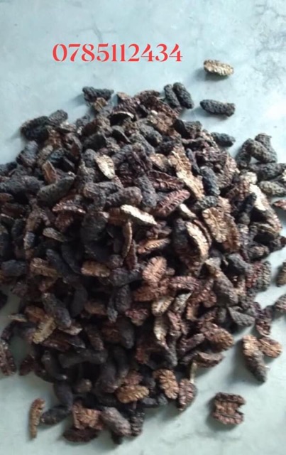 Quả nhàu khô 1kg