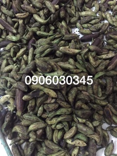 Chuối hột rừng