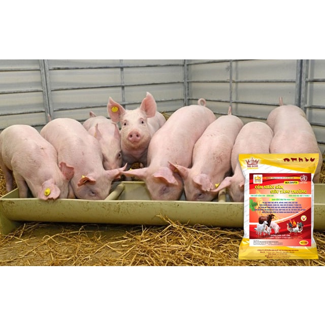 Cốm nhân sâm siêu tăng trưởng, men tiêu hóa kích thích đường ruột hấp thụ, tăng sức đề kháng cho vật nuôi túi 1kg