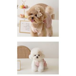 Set đầm tiểu thư cho thú cưng kèm nơ