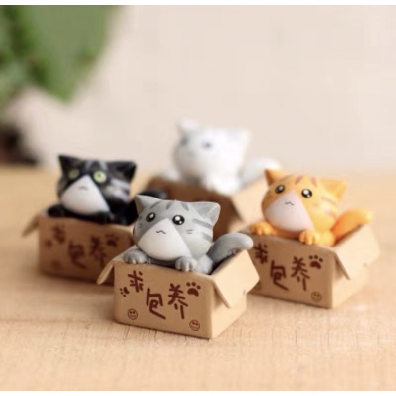 Mèo Con Trong Hộp | Phụ Kiện Trang Trí Tiểu Cảnh Terarium, Sen Đá