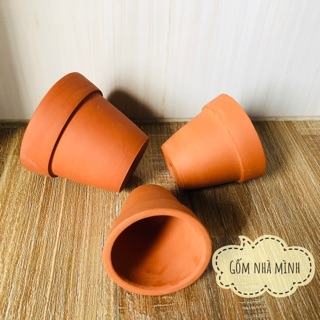 Combo 10 bộ chậu đất nung mini (3 size)