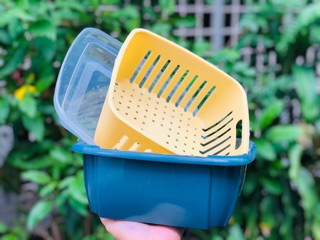 Bộ thau rổ đa năng có nắp (1 bộ gồm có 1 nắp,1 thau,1 rổ)
