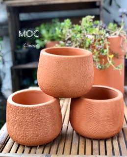 Chậu Đất Nung Da Rắn