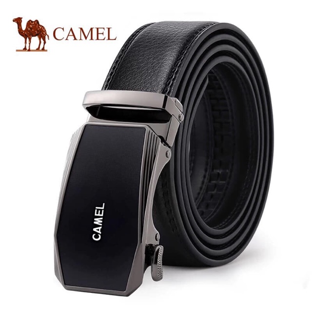 Thắt Lưng Camel