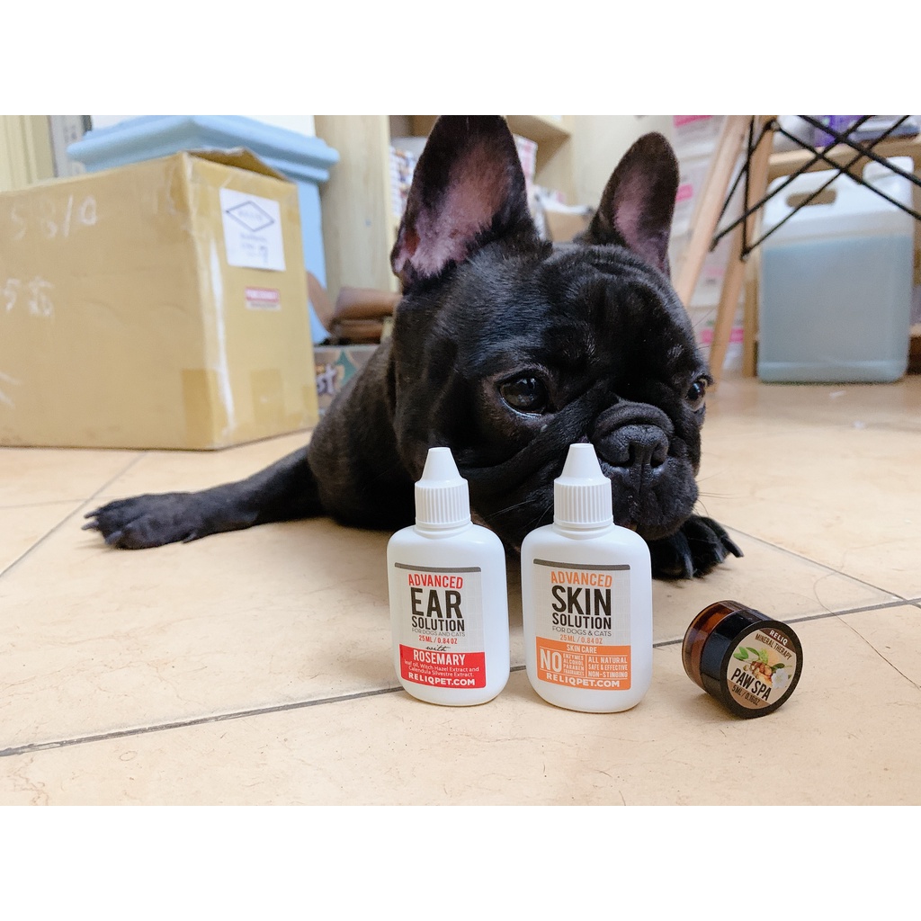 RELIQ - Dung dịch vệ sinh tai cho chó & mèo Ear Solution
