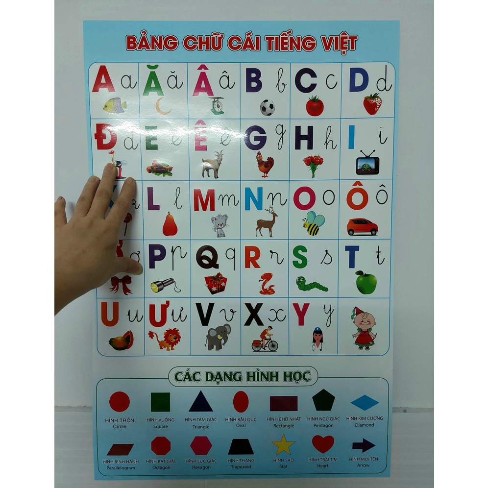 Bảng chữ cái dán tường,xe,trái cây,số...)40x60cm-tranh có keo sẳn-chất lượng