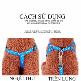 Dây dắt kèm đai yếm cho chó mèo
