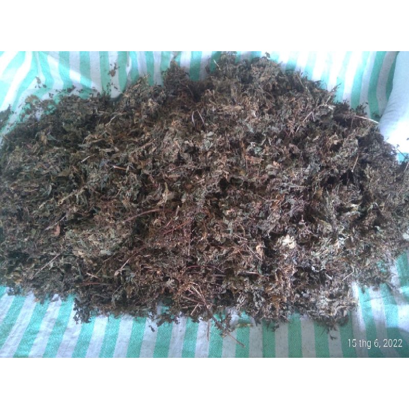 Lá đinh lăng phơi nắng khô 500g 35k l miền tây shop