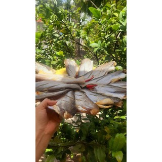khô cá dứa nhỏ ngon tuyệt ạ