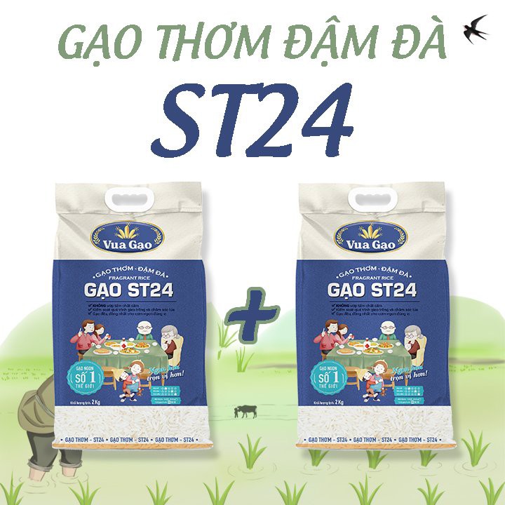 Combo 2 Túi Gạo ST24 2kg Thơm Ngon, Dẻo Nhiều, Vị Ngọt Hậu – Thương hiệu Vua Gạo