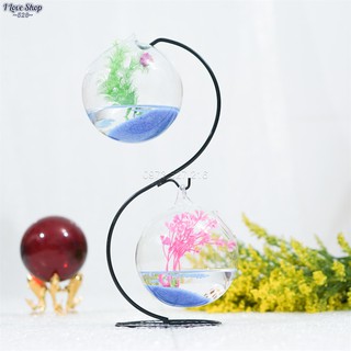 Bể cá mini để bàn hình chữ S mẫu 01 (Tặng kèm 02 combo phụ kiện trang trí), bể cá phong thủy