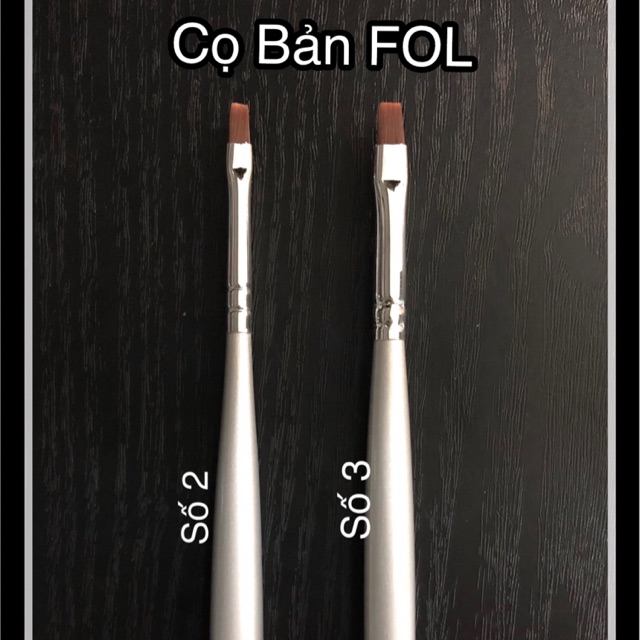 Cọ bản FOL (số 2/ số 3)