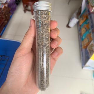 Catnip cho mèo