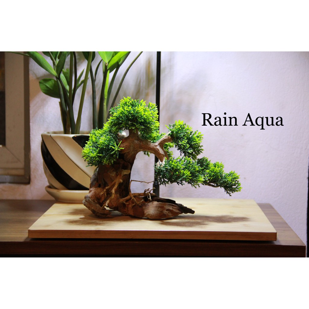 Cây lũa bonsai gắn lá nhựa dài 23cm, cao19cm