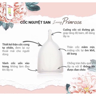 Cốc nguyệt san Promise
