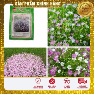 Hạt Giống Hoa Baby mix 50 hạt