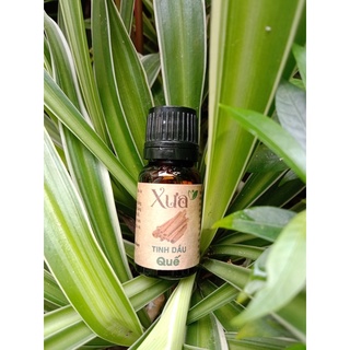 Tinh dầu Quế 10ml