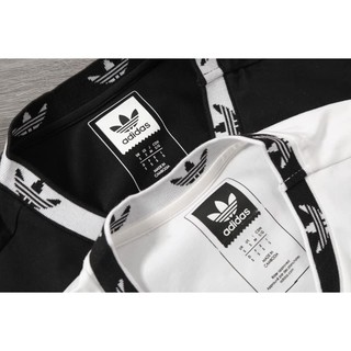 Áo T-shirt Cotton Bo Cổ AD