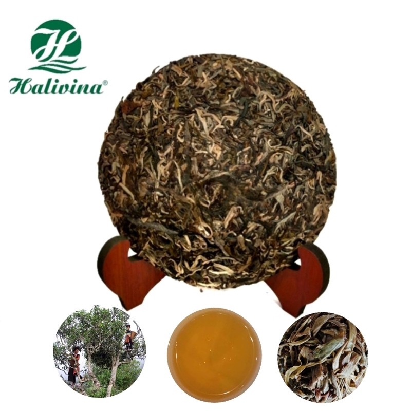 Trà Shan Tuyết Cổ Thụ Tây Côn Lĩnh Hà Giang Bánh 357Gr Lên Men Tự Nhiên Năm 2019