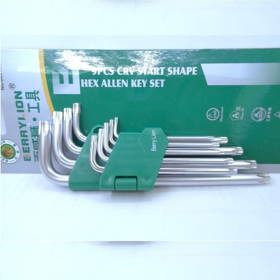 Bộ lục giác đầu bông 9 cây  T10-T50 ( Berrylion 17mm)