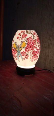 Đèn thấu quang hình quả trứng