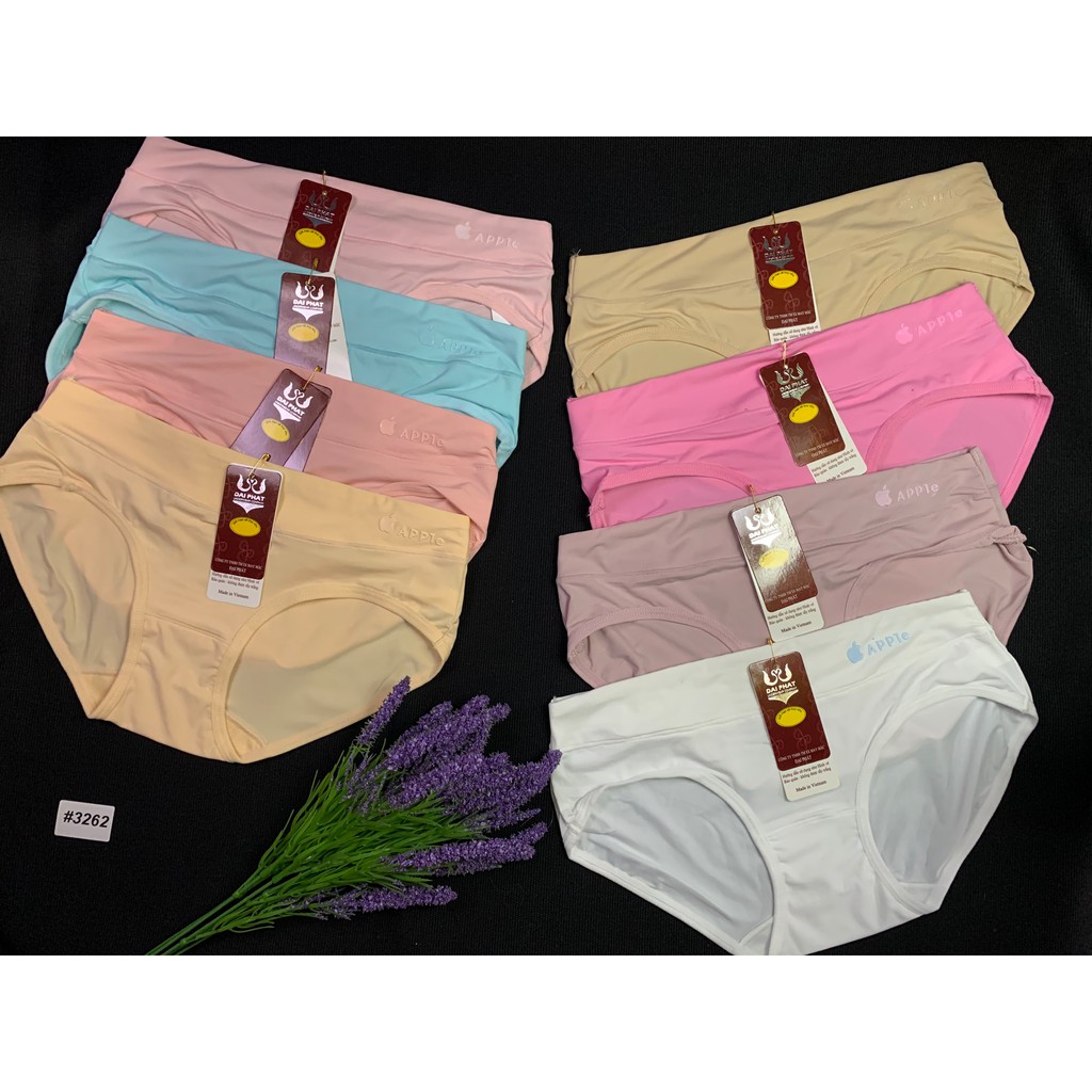 Quần lót nữ thun lạnh Đại Phát MS3262 vải lạnh mịn thoáng mát set 10 cái