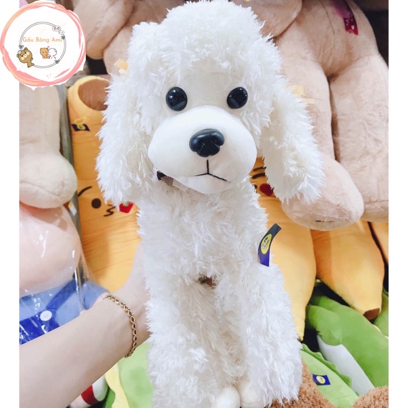 Gấu bông Chó Poodle lông xù 3 màu dễ thương size 35-50-60cm - Đồ chơi quà tặng Hot Trend - Gấu Bông AMI