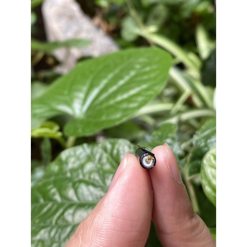Pin thay thế tai nghe