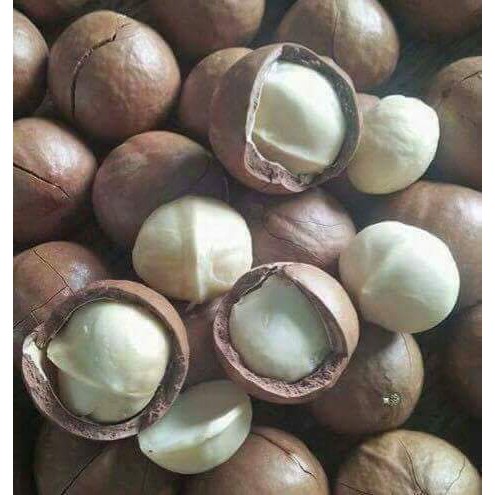 Hạt Mắc ca khô 500gr