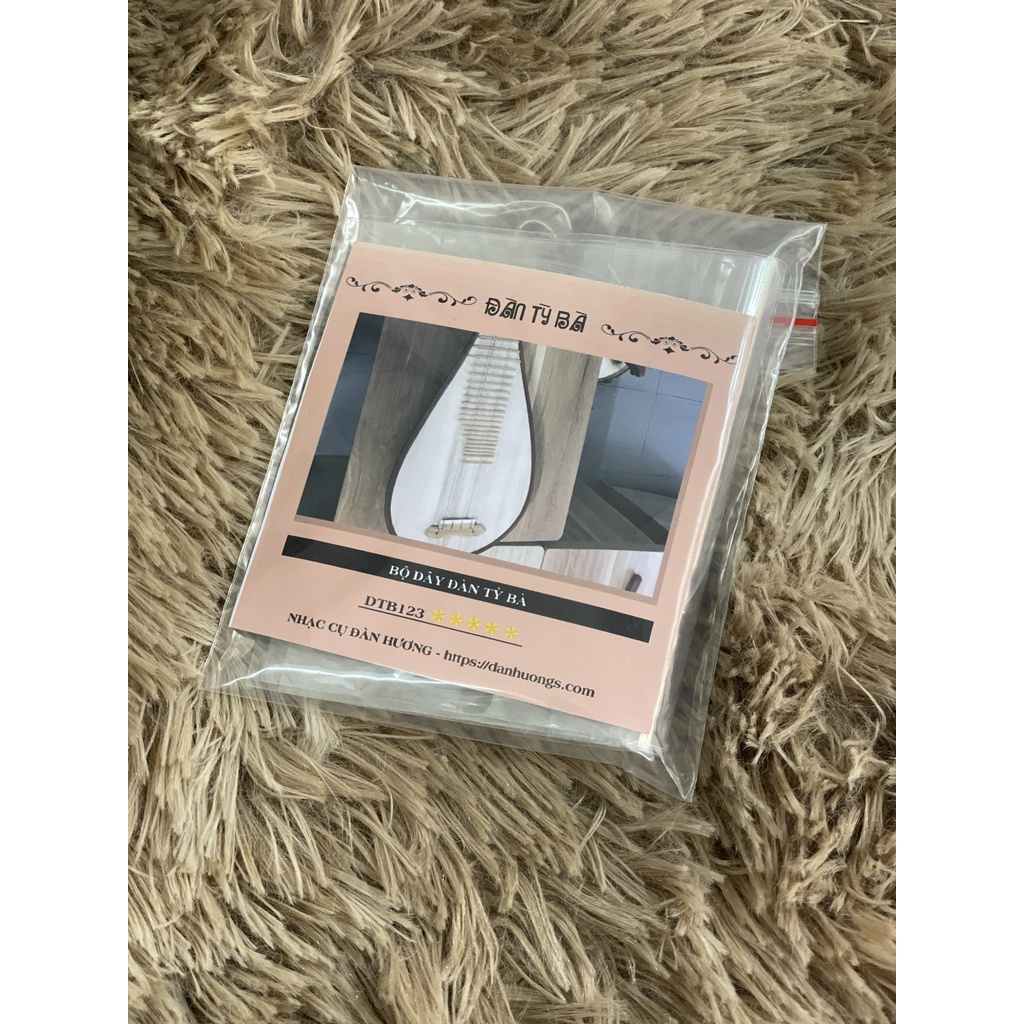 Bộ dây đàn tỳ bà chơi chuyên nghiệp