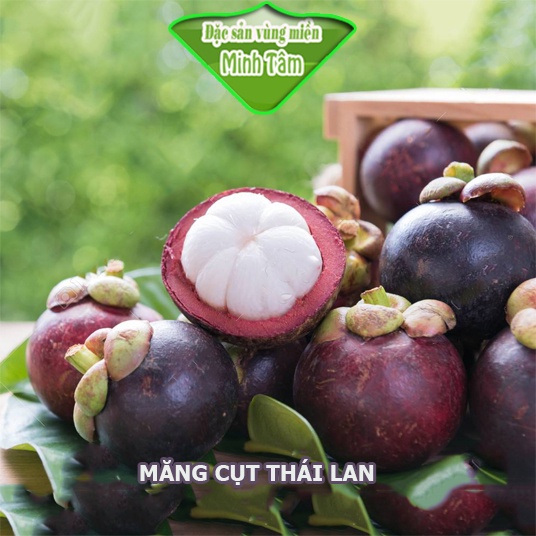 Măng cụt nhập THÁI thơm ngon bổ dưỡng