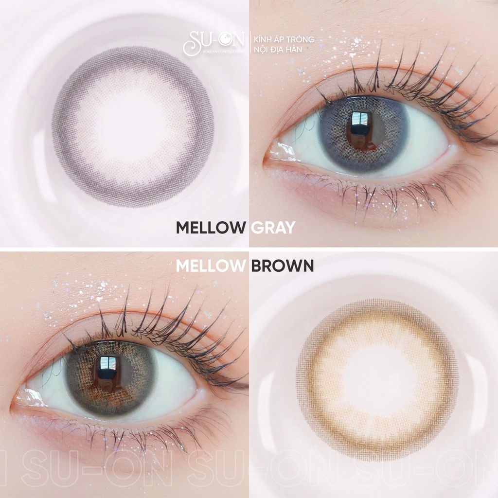 Lens 1 ngày Ann365 MELLOW GRAY áp tròng 14,2mm, xám tây tro khói, siêu êm đeo 24h