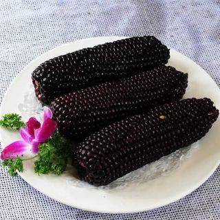 Hạt giống ngô đen