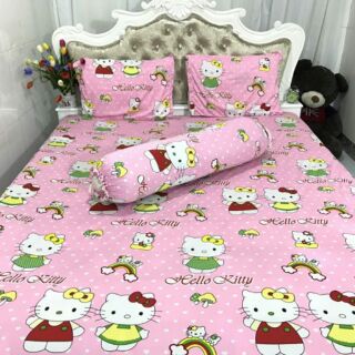 Bộ ga chun + 3 vỏ gối
