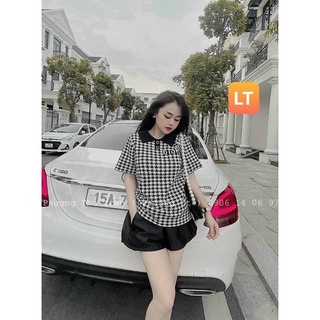Váy caro đen quần tapta